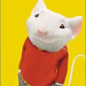 Meet your Posher, Ava